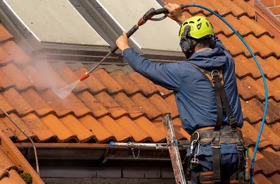 Démoussage et hydrofuge de toiture à Bergonne